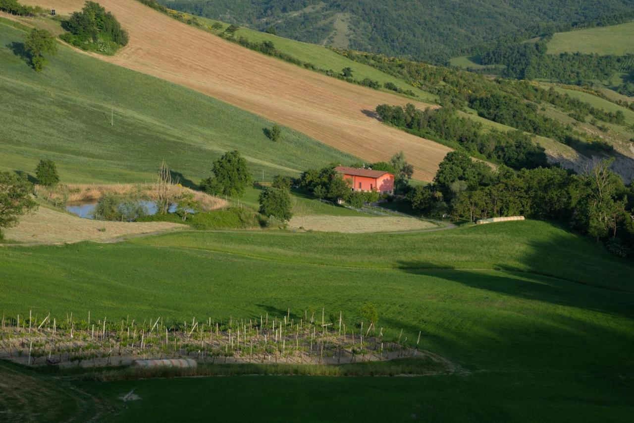 Al Sasseto B&B Montagnana  Exterior photo