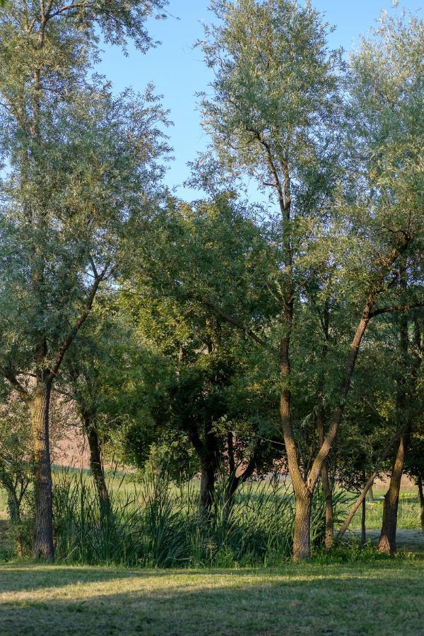 Al Sasseto B&B Montagnana  Exterior photo
